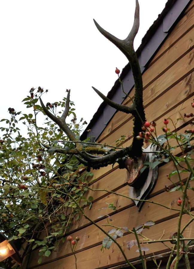 Le Cerf D'Hubert Bed & Breakfast Redu Exterior foto